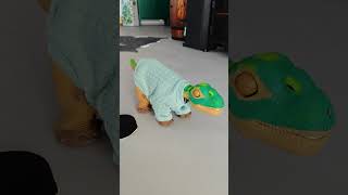 Pleo Ugobe the cutest robot in the world #pleo #robot #toys #kidrobot #kids #short #robotictoys #fun