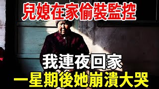 在兒子家帶孩子1年，兒媳給家裝了監控，我連夜回家，一個星期後她崩潰大哭【老人社】