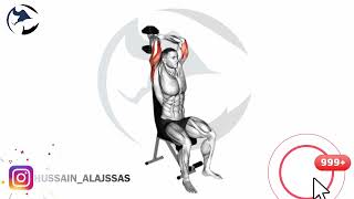 Dumbbell Seated Triceps Extension Upper Arms