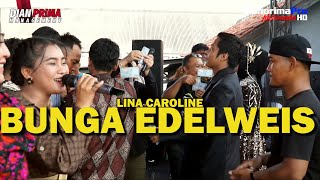 BUNGA EDELWEIS - LINA CAROLINE