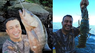 Pescamos una MEGA LANGOSTA 🦞🦞y un PARGO CUBERA|El Salvador