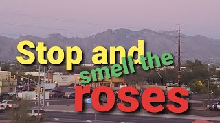 Stop and smell the roses.