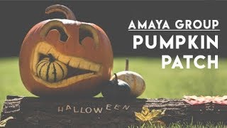 Pumpkin Patch Rewind | Amaya Group Events