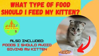 What type of food should I feed my kitten? | What are the foods I should avoid giving my kitten?