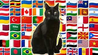 How to say "Black Cat" in different countries || Cat in different languages