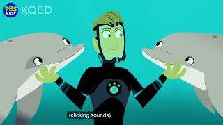 Wild Kratts - The Vanishing Stingray - full episode