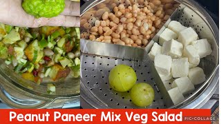 Salad : Peanut Paneer salad