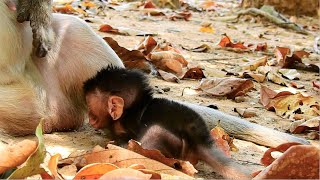 THIS IS VERY HARD LESSON _ NEWBORN BRIYA CANNOT PASS || BRINN PUT BABY ON THE GROUND TO LEARN WALK.