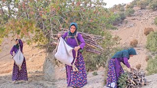 Nomadic Life: Akram’s Journey to Pick Mountain Pistachios and Collect Firewood