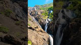 Doodhasagar Waterfall #waterfalls #goa #hills #life #greenary