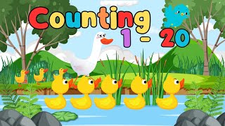 Counting 1 to 20 with Little Ducks | Fun Duck Counting Song for Kid | Learn Numbers