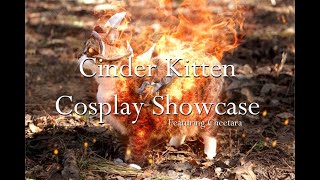 Cinder Kitten Cosplay Showcase