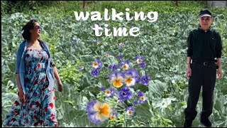 Walking time #nakita ko to #dami nila #asmr  #cabbagefarm #fypyoutube