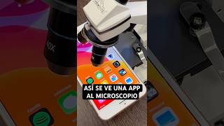 🔬Así se ve una APP al microscopio ¿Y una huella dactilar? 🐾 Increíble ver así los píxeles 👾