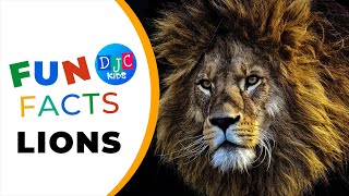 Roaring Fun with DJC Kid: 5 Wild Facts About Lions | Kids' Learning Adventure!