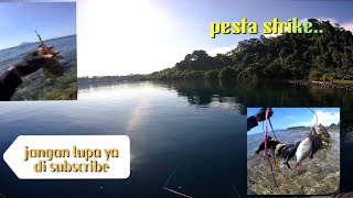 gara gara mino Abal Abal ikan nya juga Abal abal