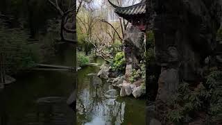 Chinese Garden of Friendship Sydney - niesamowite miejsce