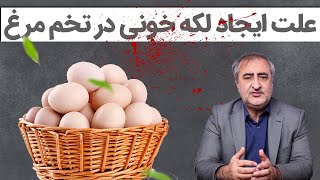 علت ایجاد لکه خونی در تخم مرغ