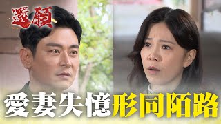 愛妻失憶忘了我 親自替我解情傷！｜#願望 EP94｜三立台劇