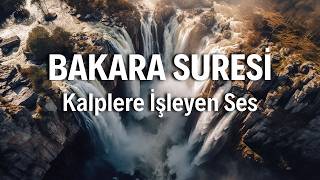 Bakara Suresi Dinle - Huzur, Korunma ve Bereket İçin Güçlü Dua | Kuran Dinle ve Öğren