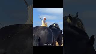 Giant horse🔥|اسب غول پیکر🔥#animals #horse #cavalo #caballo #ghoda #حصان #اسب