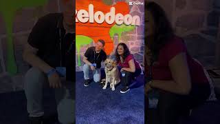 Vidcon ‘23 recap Pt.1​@vidcon @MagnusTheTherapyDog  #magnusthetherapydog #vidcon #shortscommunity