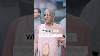 Dimensions Beyond the Mind l Srila Prabhupada #motivation #srilaprabhupada #krishna