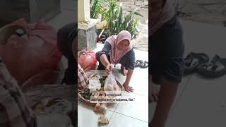 Perjuangan ibu penjual kue keliling#Shorts#