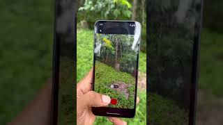 വിലയിൽ കുഞ്ഞനാണെങ്കിലും കൈയ്യിരിപ്പ് CMF PHONE 1