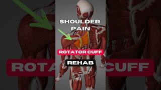 Rotator Cuff Rehab: Take Your Shoulder Stability to the Next Level! 💪