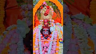 🌺 Joy Maa Tara 🌺 | TARAPITH LIVE | TARAPITH OFFICIAL |TARAPITH TEMPLE | TARAPITH BIRBHUM,#joytara