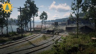 RED DEAD REDEMPTION 2 Ambience & Ambient Music | Annesburg | Roanoke Ridge | Day/Night Cycles