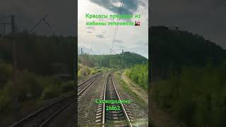 Красота нашей природы не перестает радовать🌳🌳🌳#природа #лес #поезд