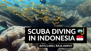 SCUBA DIVING 🤿 IN INDONESIA 🇮🇩 | The underwater wonders of Raja Ampat