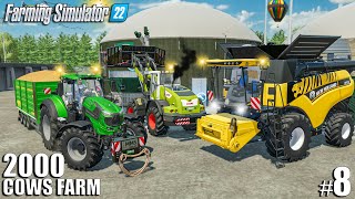 Harvesting WHEAT and FEEDING SILAGE to BGA | 2000 Cows Farm Ep.8 | Farming Simulator 22