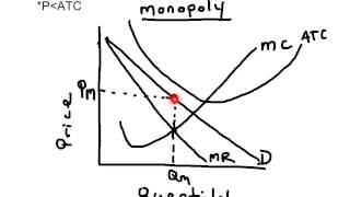 Monopoly Economic Loss Graph