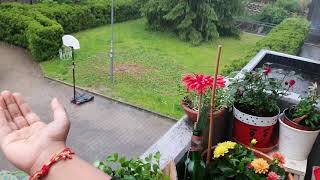 Heavy Rain in Stuttgart #shorts #youtubeshorts