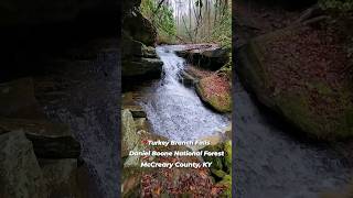 📍Turkey Branch Falls, Daniel Boone National Forest, Kentucky #TurkeyBranchFalls #Waterfall #Hiking