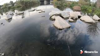 Pescando mojarritas en el río de el monte ca.🎣🐟