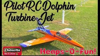 Taming & Unleashing the Beginner Turbine Jet: Pilot RC Dolphin 1.8m