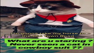 🤠 WHAT ARE YOU STARING AT ? Never seen a cat in cat cowboy costume  ? 🤠 mycatpuppyshop