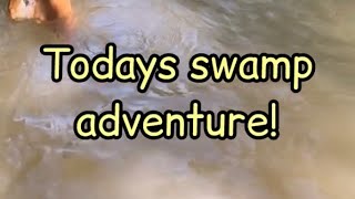 Doggy swamp adventure!