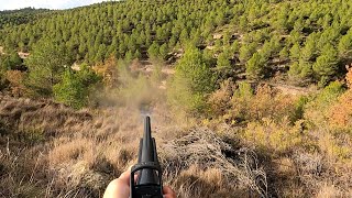 Batida de Jabalí / Sacando balas con el Browning Maral