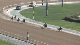 MEYDAN TRIALS 16102024 TRIAL 4