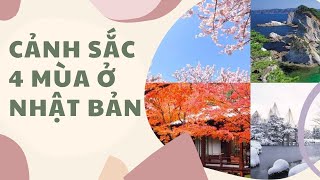 Cảnh sắc 4 mùa: xuân, hạ, thu, đông ở Nhật Bản