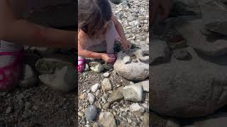 Rock Hunting On Lake Michigan - Princess Edition