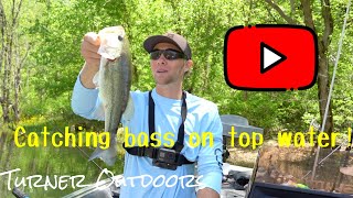 Bass fishing Norris Lake May 1, 2021