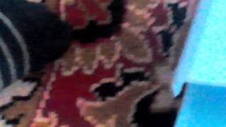 VID_20140510_110326.3gp