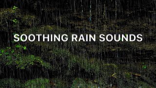 Soothing Rain Sounds for Deep Sleep, Productive Study & Ultimate Relaxation