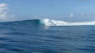 Perfect wave and empty line up, Sultan, Maldives